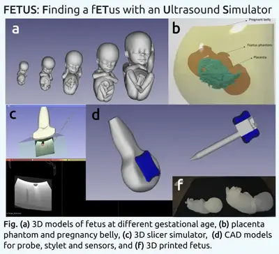 Finding a fETus with an Ultrasound Simulator (FETUS).