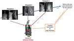PhD opportunity [February 2024 start] on "Accurate automated quantification of spine evolution — it’s about time!"