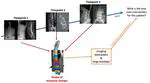 PhD opportunity [February 2024 start] on "Accurate automated quantification of spine evolution — it’s about time!"