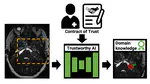 PhD opportunity [February 2024 start] on "Incorporating Expert-consistent Spatial Structure Relationships in Learning-based Brain Parcellation"