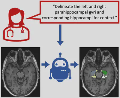 Text promptable semantic segmentation of volumetric neuroimaging data.