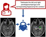 PhD opportunity [October 2024 start] on "Text promptable semantic segmentation of volumetric neuroimaging data"